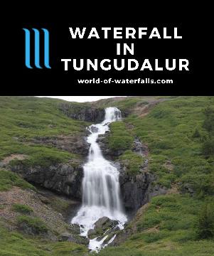 The waterfall in Tungudalur tumbles through an open valley flanked by purple wildflowers and a small forest with budding sproutlings near the town Ísafjörður.
