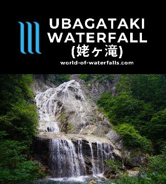Ubagataki Waterfall (姥ヶ滝; Ubagataki Falls) was a large and unusual, yellow waterfall with 2 foot baths situated underneath the Hakusan White Road Toll Road.