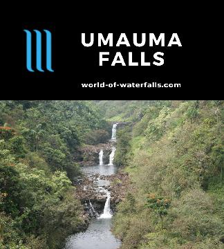 Umauma Falls is a 300ft multi-tiered waterfall that frequents post cards as well as calendars. It sits on private land along the Big Island's Hamakua Coast.