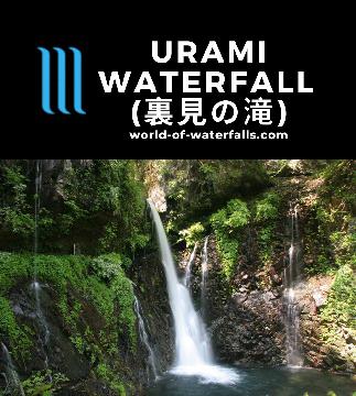 Urami Waterfall (裏見の滝; Urami Falls) is a series of segmented waterfalls seeping into the head of a gorge that's a little off the beaten path in Nikko, Japan.