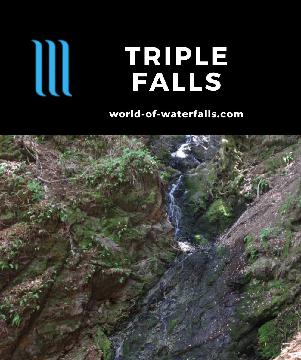 Triple Falls is a small waterfall in Alec Canyon, which is a separate drainage from the rest of the Swanson Creek waterfalls in Uvas Canyon County Park.