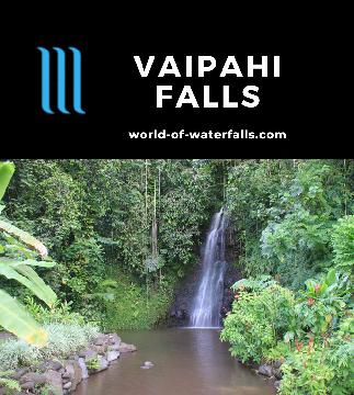 Vaipahi Falls is a classic intimate small jungle waterfall in the tranquil Vaipahi Public Garden on the south side of Tahiti Nui to the west of Taravao.