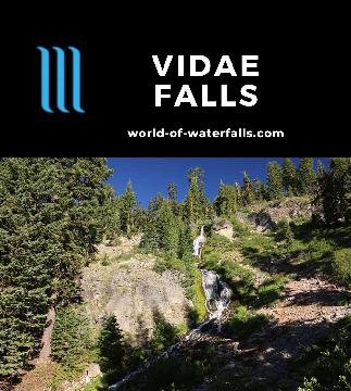 Vidae Falls is a 100ft cascade and definitely one of the easiest waterfalls to visit in Crater Lake National Park, mostly because it was right by the road.