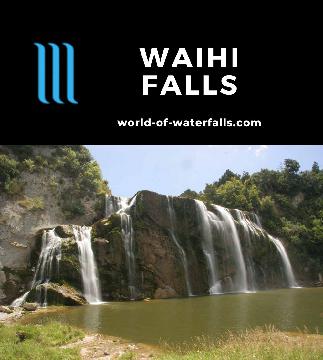 Waihi Falls seemed to be an obscure waterfall dropping 25m over a wider span, which we experienced on a short walk after driving rural roads from Dannevirke.