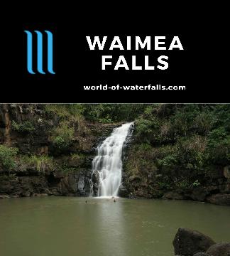 Waimea Falls is a popular 45-55ft waterfall and swimming hole with a lifeguard reached by a stroll through a botanical garden in the North Shore of Oahu.