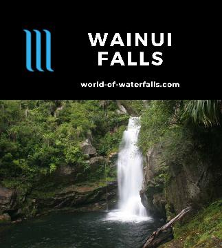 Wainui Falls is a 20m waterfall on the Wainui River that we experienced on a 3.4km return walk in the sunny Abel Tasman National Park near Nelson, New Zealand.