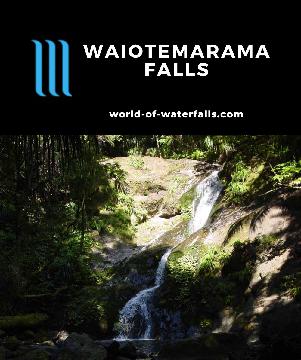Waiotemarama Falls (