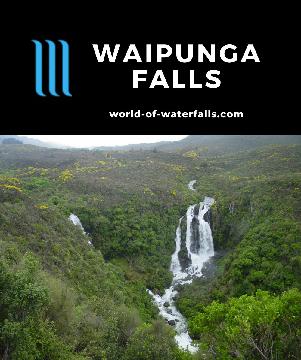 Waipunga Falls is an easy-to-access roadside 40m waterfall dropping in three segments with a companion waterfall between Taupo and Napier in the Bay of Plenty.
