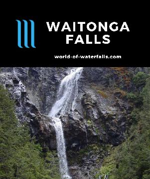 Waitonga Falls at 39m is the tallest waterfall in Tongariro National Park with a varied bush walk encompassing native bush, a scenic bog, and mountain views.