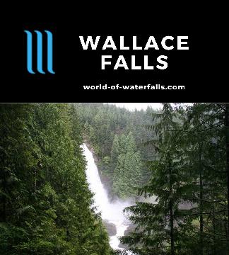 Wallace Falls features 3 waterfalls on the Wallace River where the Lower Falls is a combined 212ft, the Middle Falls is 260ft, and the Upper Falls is 100ft.