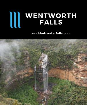 Wentworth Falls may be the most scenic waterfall in Australia's Blue Mountains near the town by the same name. It is accessed by a short 200m panoramic walk.