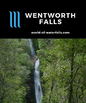 Wentworth Falls (or Wentworth Valley Falls) at 50m tall is one of the taller waterfalls in the Coromandel area of New Zealand with a gold mining heritage.