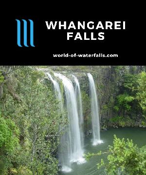 Whangarei Falls (pronounced 