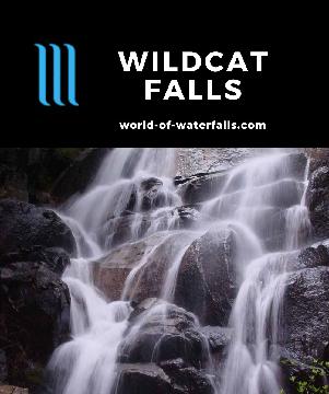 Wildcat Falls is easy to miss even though it's beside the Big Oak Flat Road. It's a waterfall that rarely attracts visitors so you can have it to yourself.
