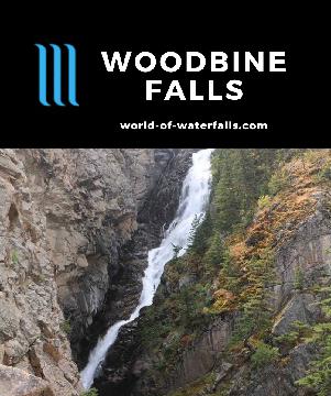 Woodbine Falls is a 260-280ft waterfall in Absaroka-Beartooth Wilderness that we saw on a 1.6-mile round-trip hike with 280ft elevation gain near Nye, Montana.