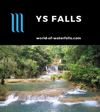 YS Falls is a 36m tall series of 7 (or so) limestone waterfalls that we think is one of Jamaica's prettiest waterfalls located on the island's quieter southwest