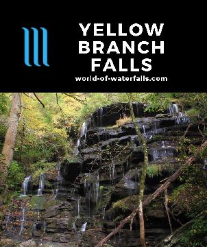 Yellow Branch Falls is a 40-50ft tall 75ft wide waterfall similar in character to Issaqueena Falls, reached by a 1.5-mile hike near Walhalla, South Carolina.