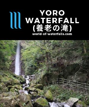 Yoro Waterfall (養老の滝; Yoro Falls) is a 32m waterfall on Takidani Stream in the family friendly and popular among locals Yoro Park near Nagoya in Gifu, Japan.